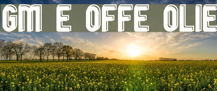 GM Exp Offset Outline Font examples