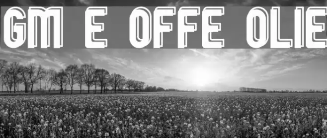 GM Exp Offset Outline フォント examples