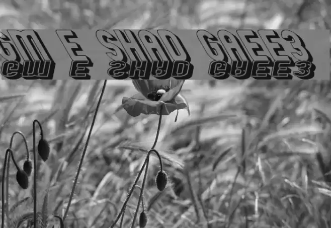 GM Exp Shadow Gravestone3 Polices examples