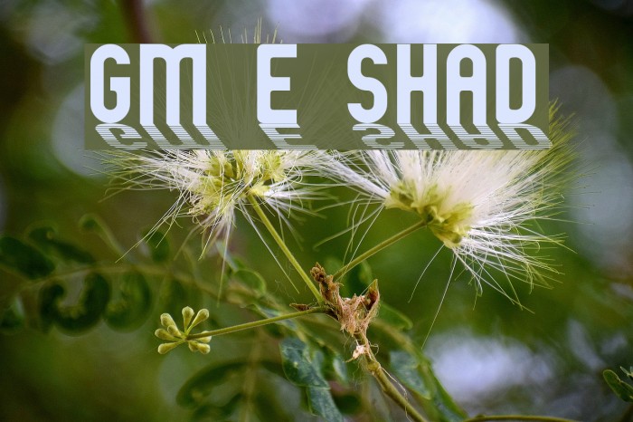 GM Exp Shadow Font examples