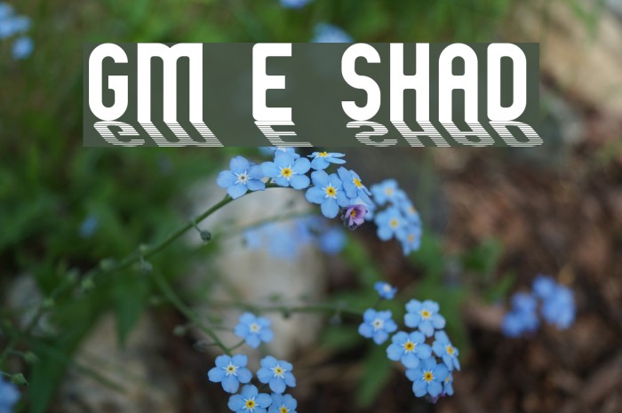 GM Exp Shadow Font examples