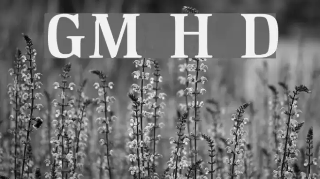 GM Hightop Demoversion Шрифта examples