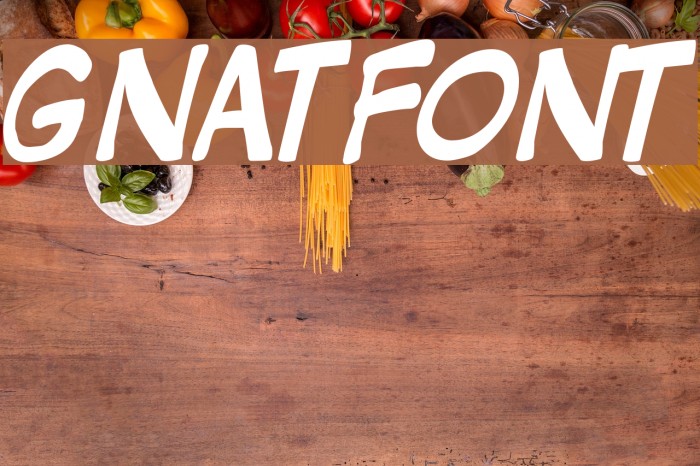 GNATFONT Font examples