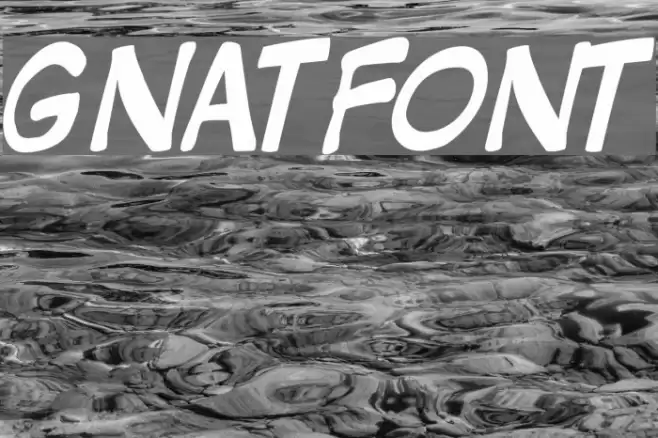GNATFONT フォント examples