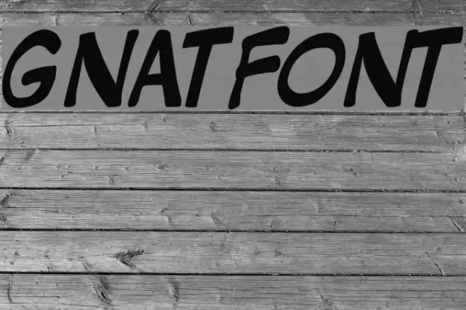 GNATFONT フォント examples