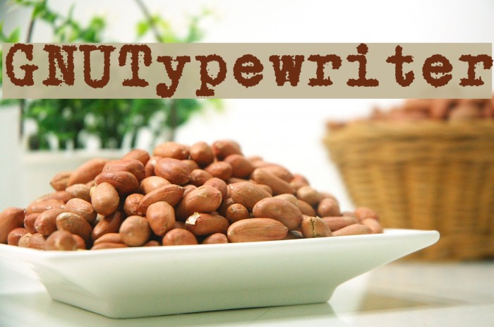 GNUTypewriter Font examples