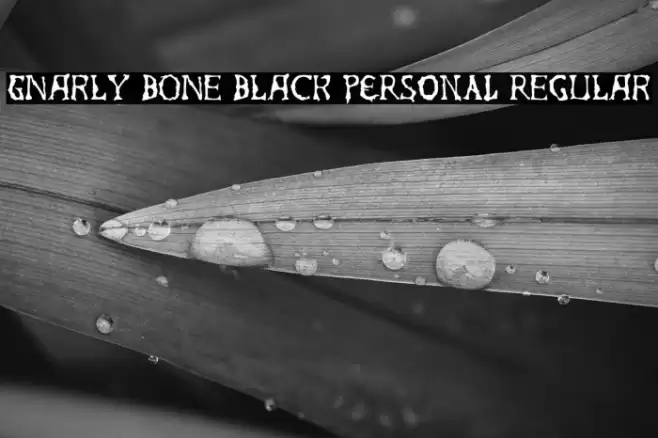 Gnarly Bone Black PERSONAL Regular Font examples