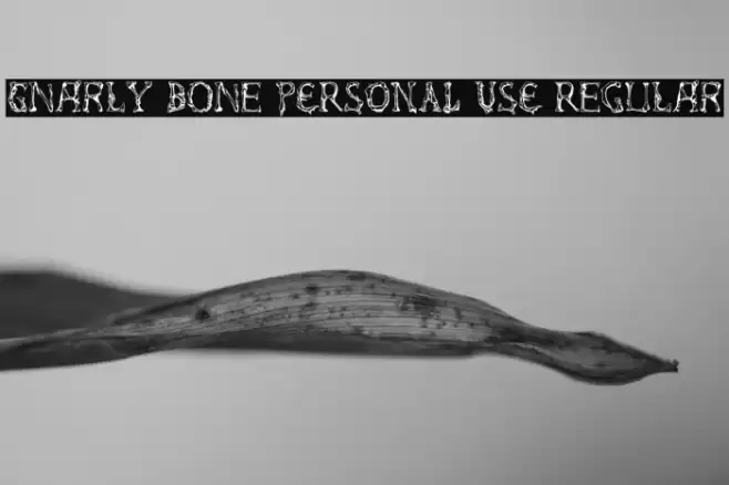 Gnarly Bone PERSONAL USE Regular Font examples