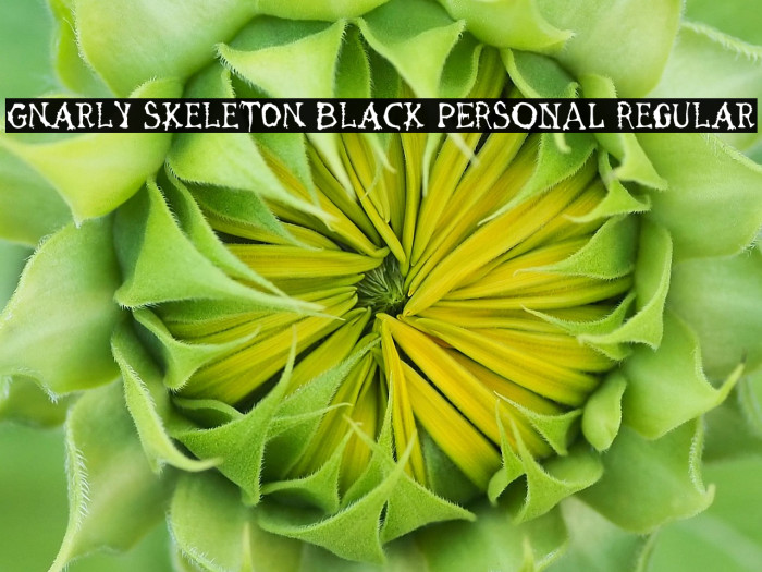 Gnarly Skeleton Black PERSONAL Regular Example 1