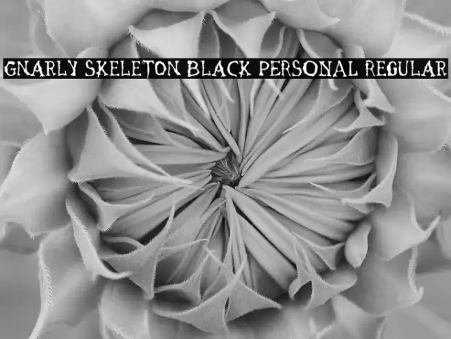 Gnarly Skeleton Black PERSONAL Regular Font examples