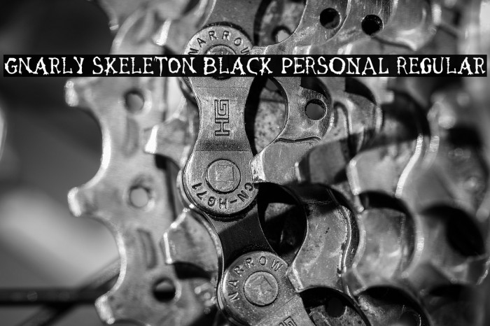 Gnarly Skeleton Black PERSONAL Regular Example 3