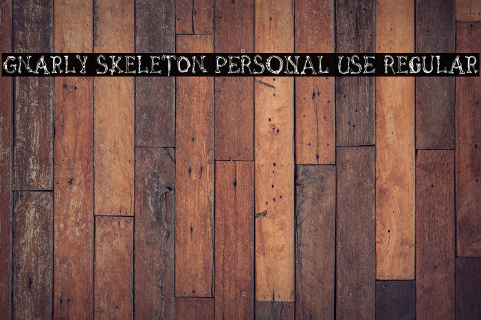 Gnarly Skeleton PERSONAL USE Regular Example 1