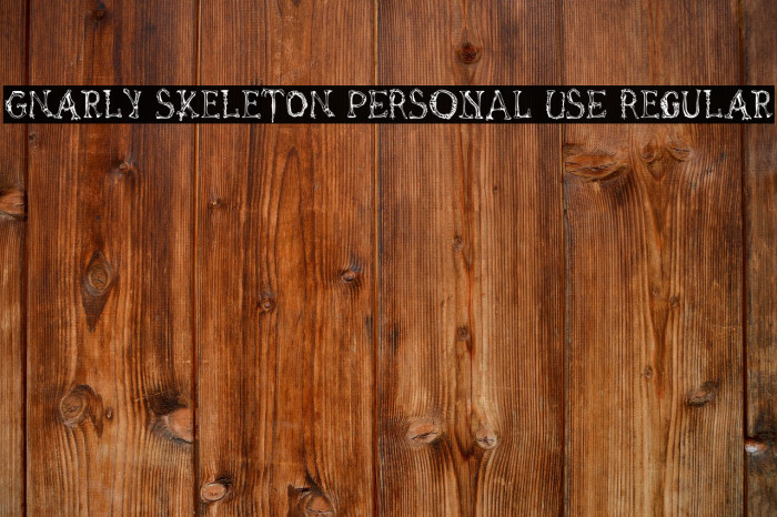 Gnarly Skeleton PERSONAL USE Regular Example 2
