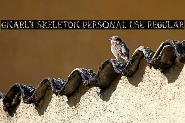 Gnarly Skeleton PERSONAL USE Regular Example 3