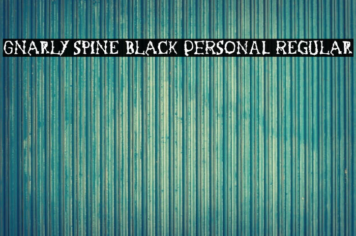 Gnarly Spine Black PERSONAL Regular Example 2