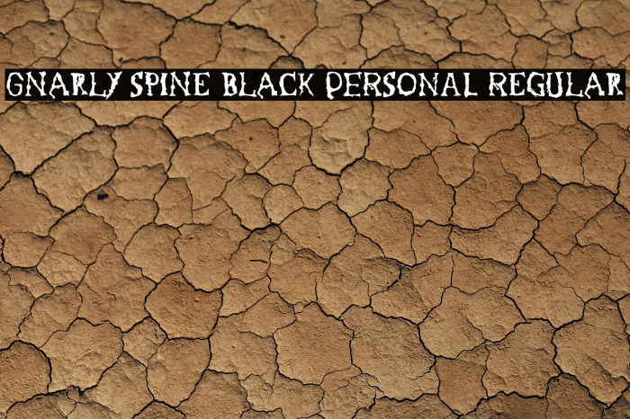 Gnarly Spine Black PERSONAL Regular Example 3