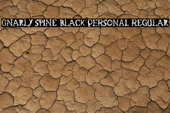 Gnarly Spine Black PERSONAL Regular Example 3