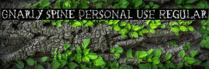 Gnarly Spine PERSONAL USE Regular Example 2