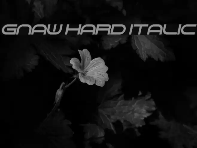 Gnaw Hard Italic Font examples