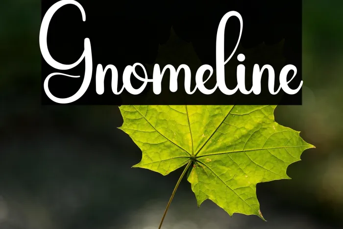 Gnomeline Example 2