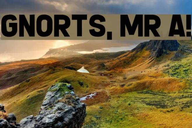 Gnorts, Mr A! Example 2