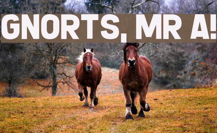 Gnorts, Mr A! Font examples