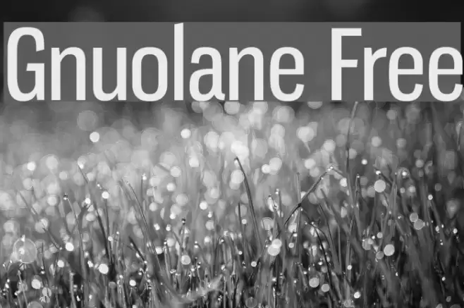 Gnuolane Free Polices examples