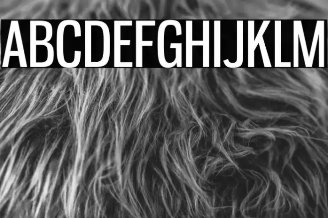 GnuolaneRg-Regular Font examples