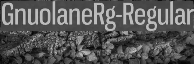 GnuolaneRg-Regular Font examples