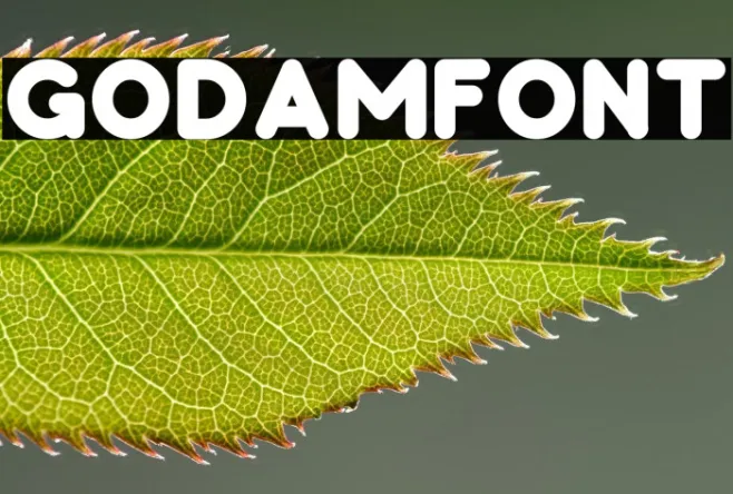 GODAM Example 3