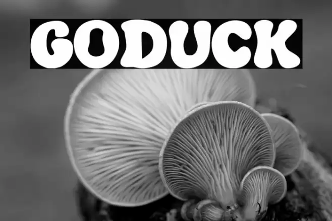 GODUCK Font examples