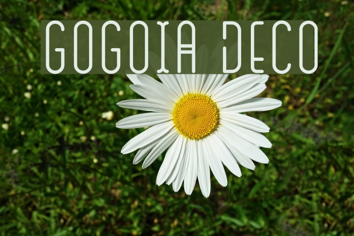 GOGOIA Deco Schriftart examples