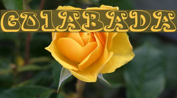 GOIABADA Font examples