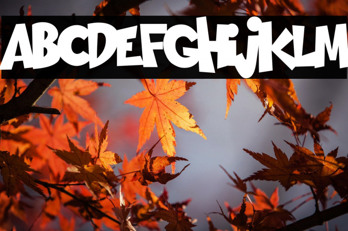 GOING MERRY Example 3