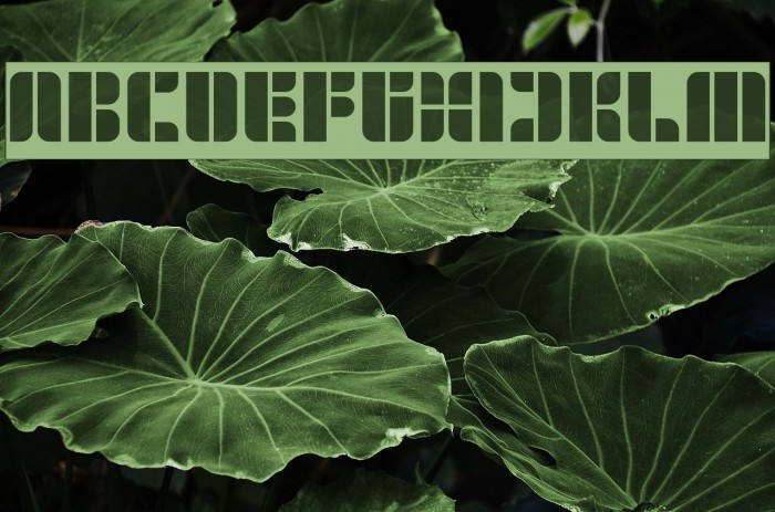 GOLDEN BAR-Inverse Example 3