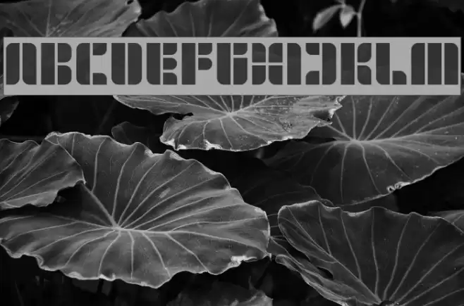 GOLDEN BAR-Inverse Font examples