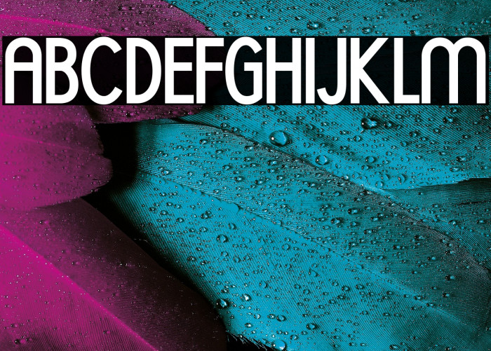 GOLDLEAF BOLD PERSONAL USE Bold Example 1