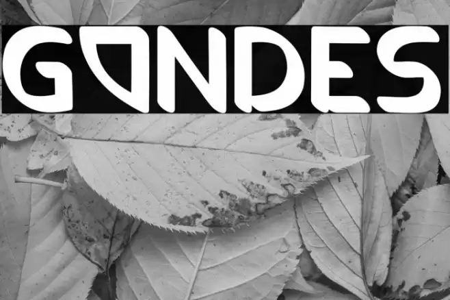 GONDES Font examples