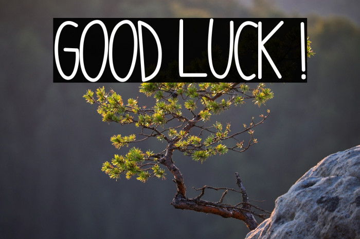 GOOD LUCK ! Example 1