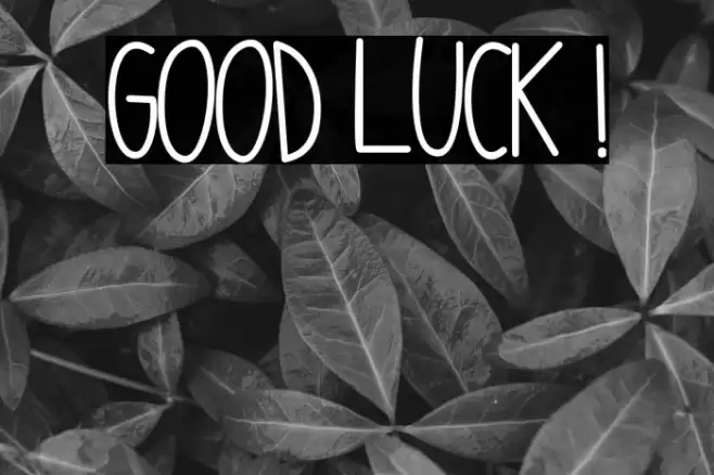GOOD LUCK ! Font examples