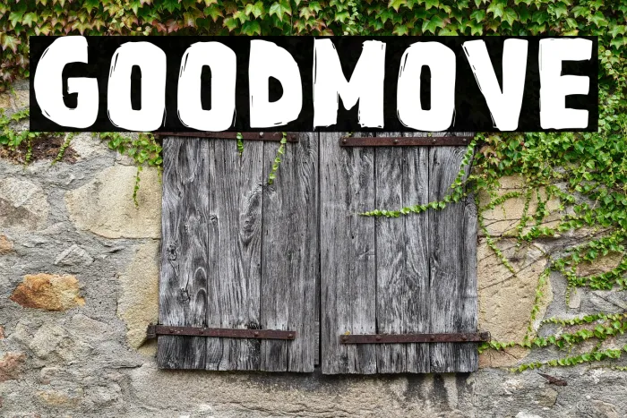 GOOD MOVE Example 3