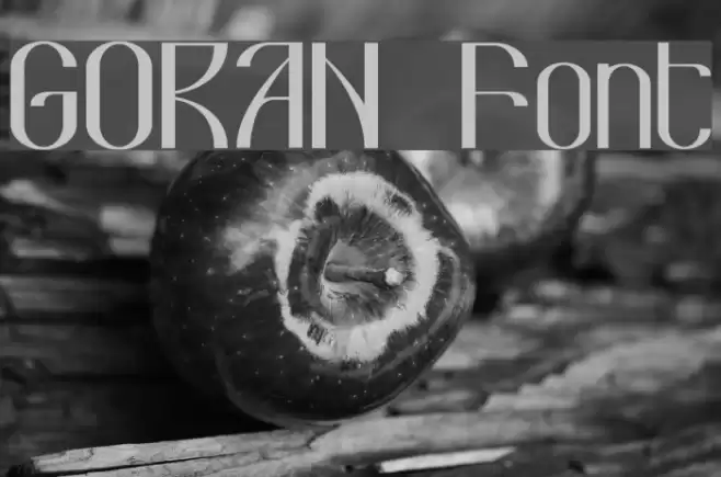 GORAN Font examples