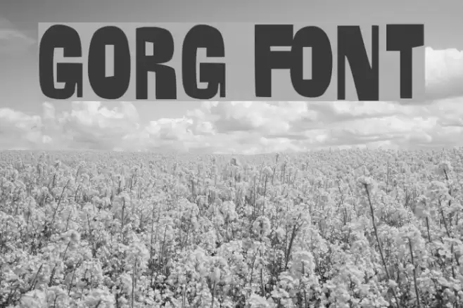 GORG Font examples