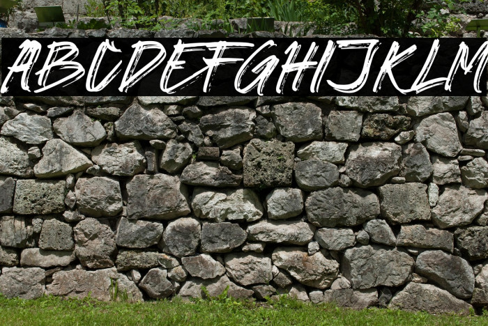 GORILAS Demo Example 1