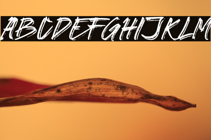 GORILAS Demo Example 3