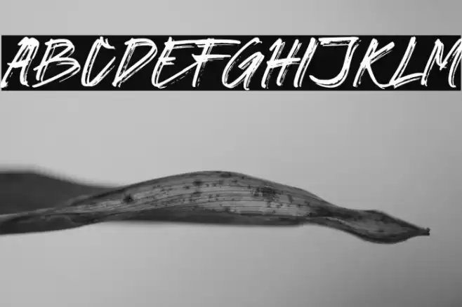 GORILAS Demo Font examples