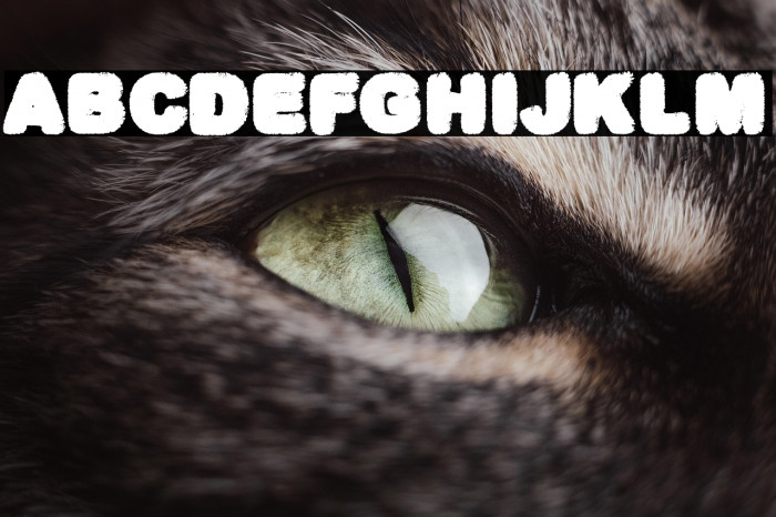 GORILAZ PERSONAL USE 1 Bold Example 2