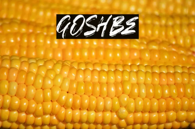 GOSHBE Example 3