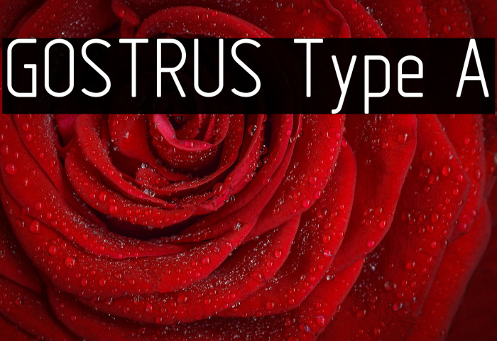 GOSTRUS Type A Example 1