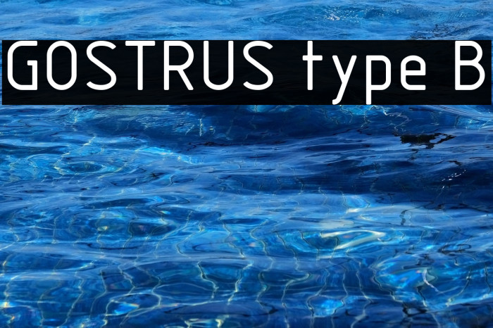 GOSTRUS type B Example 1